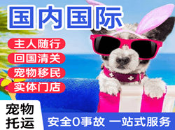 浪头航空快运国际宠物托运 【国